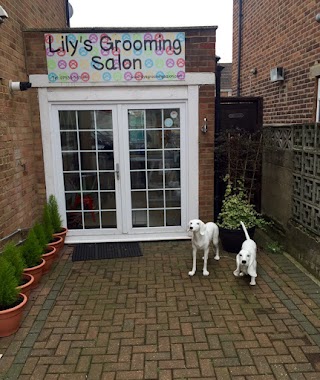 Lily's Dog Grooming Salon