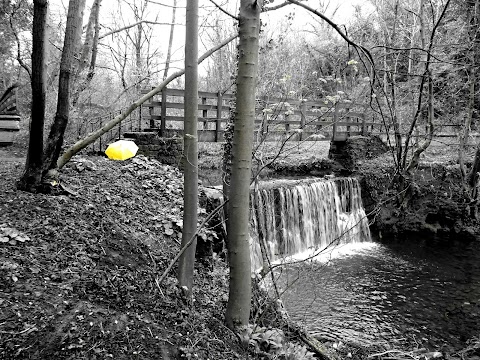 Cadzow Glen Gates