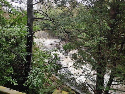 Crumlin Glen