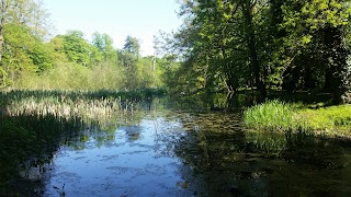 Hinchingbrooke Country Park