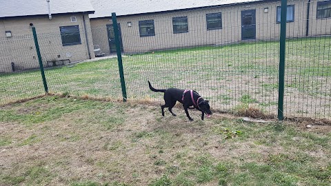 RSPCA Sheffield Animal Shelter