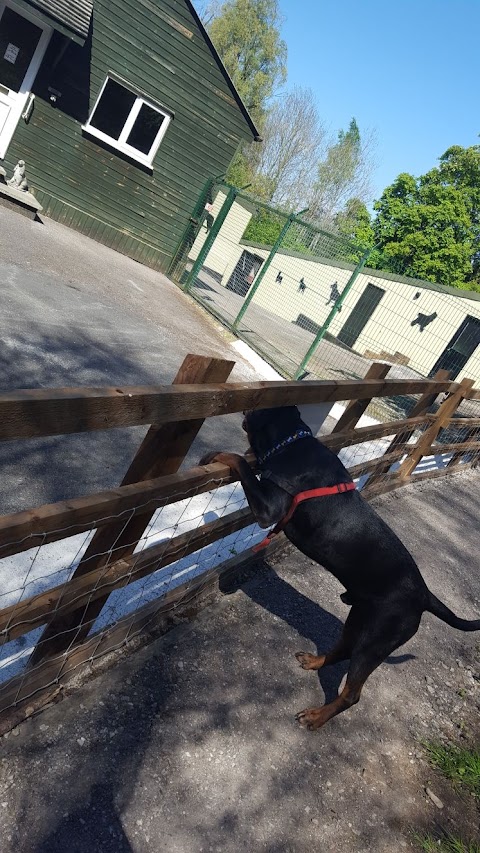 Riverside Boarding Kennels & Cattery