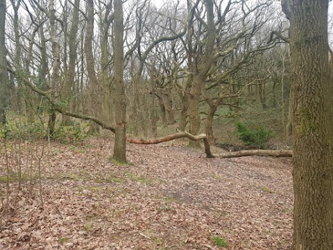 Westheads Clough