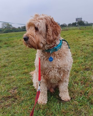 Sherston Boarding kennels Ltd (formally Pyke)