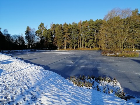 Braidwood Pond