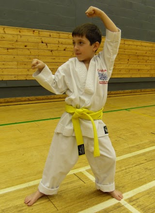 The Mark Farnham Schools of Tae Kwon Do