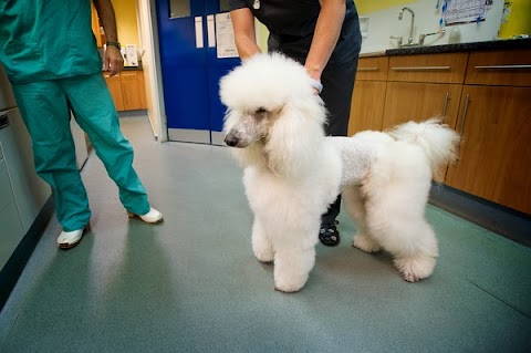 Rushcliffe Veterinary Centre - West Bridgford