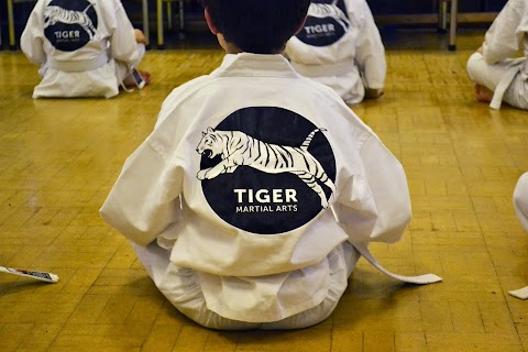 Tiger Martial Arts