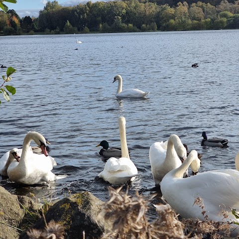 Drumpellier Country Park Playground