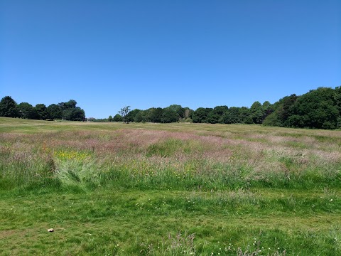 Allestree Park Lake