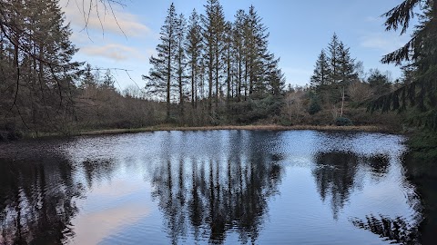 Castlewellan Forest Park