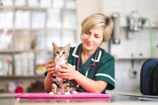 Barrier Animal Care Clinic