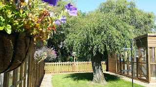 Willow Cottage Cattery