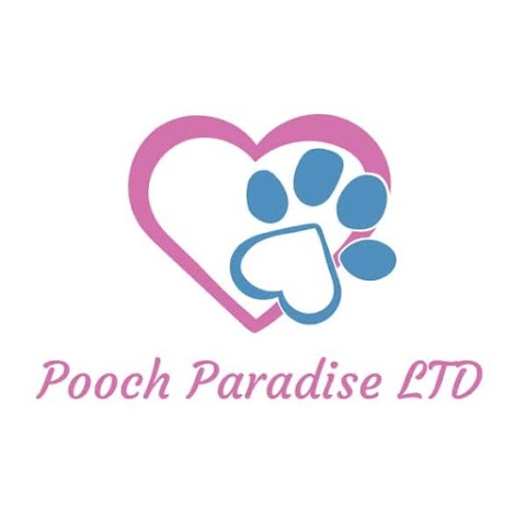 Pooch Paradise