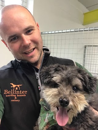 Bellinter Boarding Kennels & Cattery