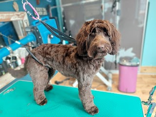 Woof and Ready Dog Grooming