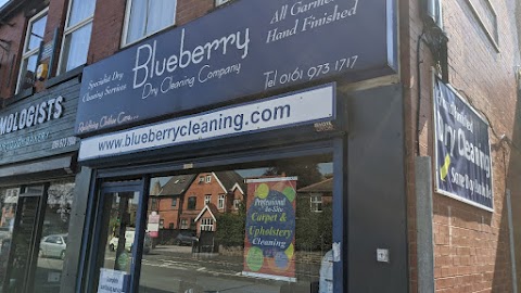 Blueberry Cleaning Company