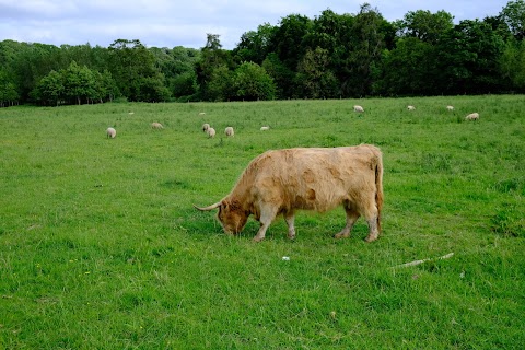 St. Catherine's Park