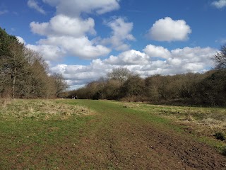 Hunsbury Hill