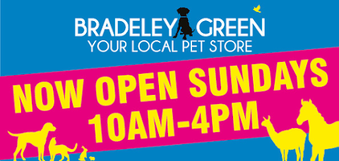 Bradeley Green Pet Store