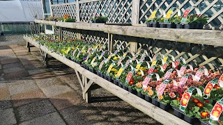 Loch Hills Plant Centre