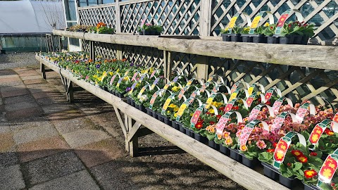 Loch Hills Plant Centre