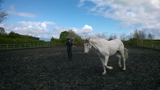 Avonvale Equine Veterinary Practice