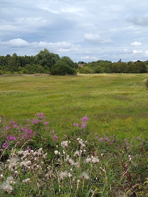 Llay Play Area