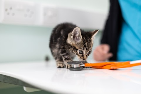 Bath Veterinary Group, Peasedown Veterinary Surgery