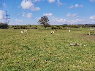 Hogshaw Farm & Wildlife Park