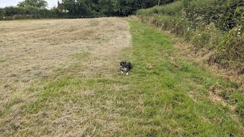 Horsepool Farm Dog Park