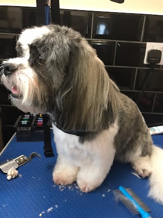 Woof Style Professional Dog Grooming