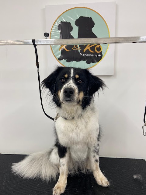 K&Ko Dog Grooming