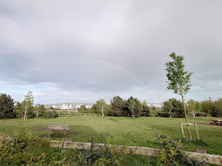 Grove Park Dog Enclosure