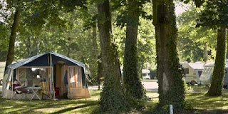 Chertsey Camping and Caravanning Club Site