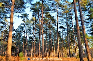 Hawkhill Inclosure car park