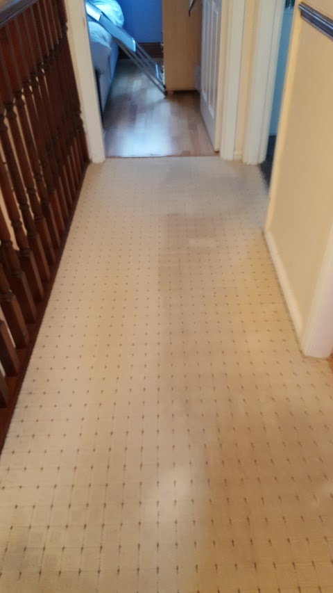 Absorb Carpet Cleaning