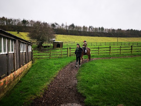 Stonehurst Family Farm and Motor Museum