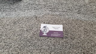 Heaton Carpet Cleaning