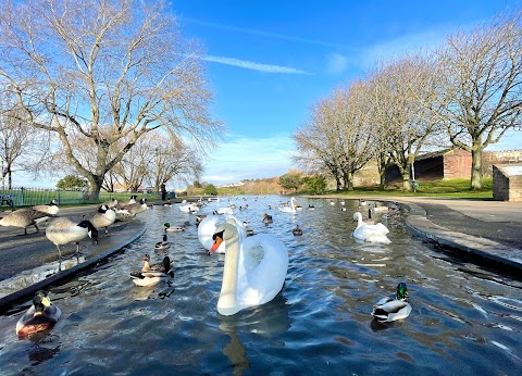 Lake Grounds