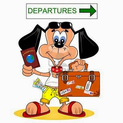 Dawgy Digz - Dog Home Boarding