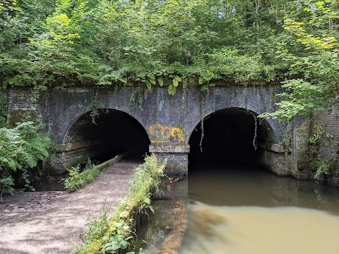 Brotherton Park and Dibbinsdale Local Nature Reserve