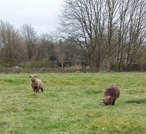 Rice Lane City Farm