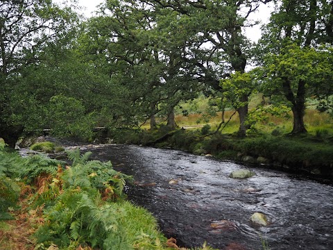 Kippure Estate