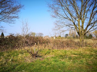 Huyton Wetlands