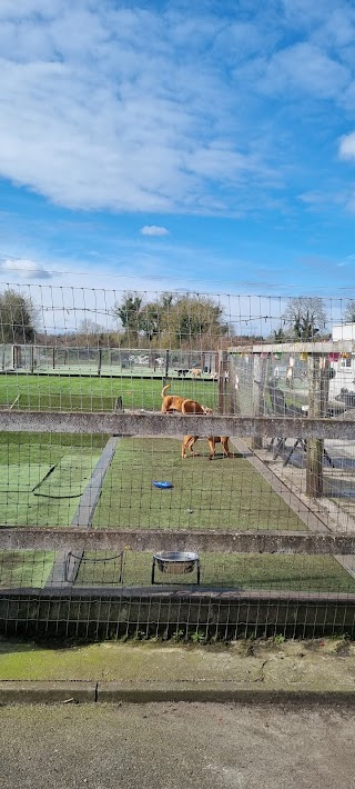 Little Lodgers Boutique Boarding Kennels