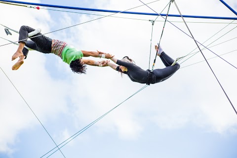 Flying Monkeys Trapeze