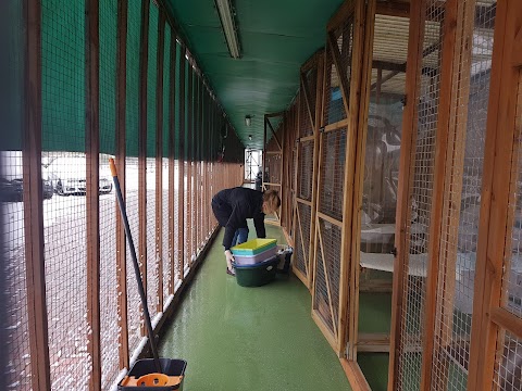 Harwyn Boarding Cattery