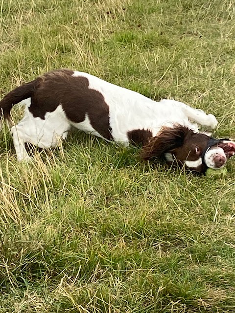 Beverley Takes The Lead