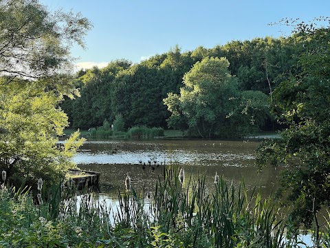 Dearne Valley Country Park